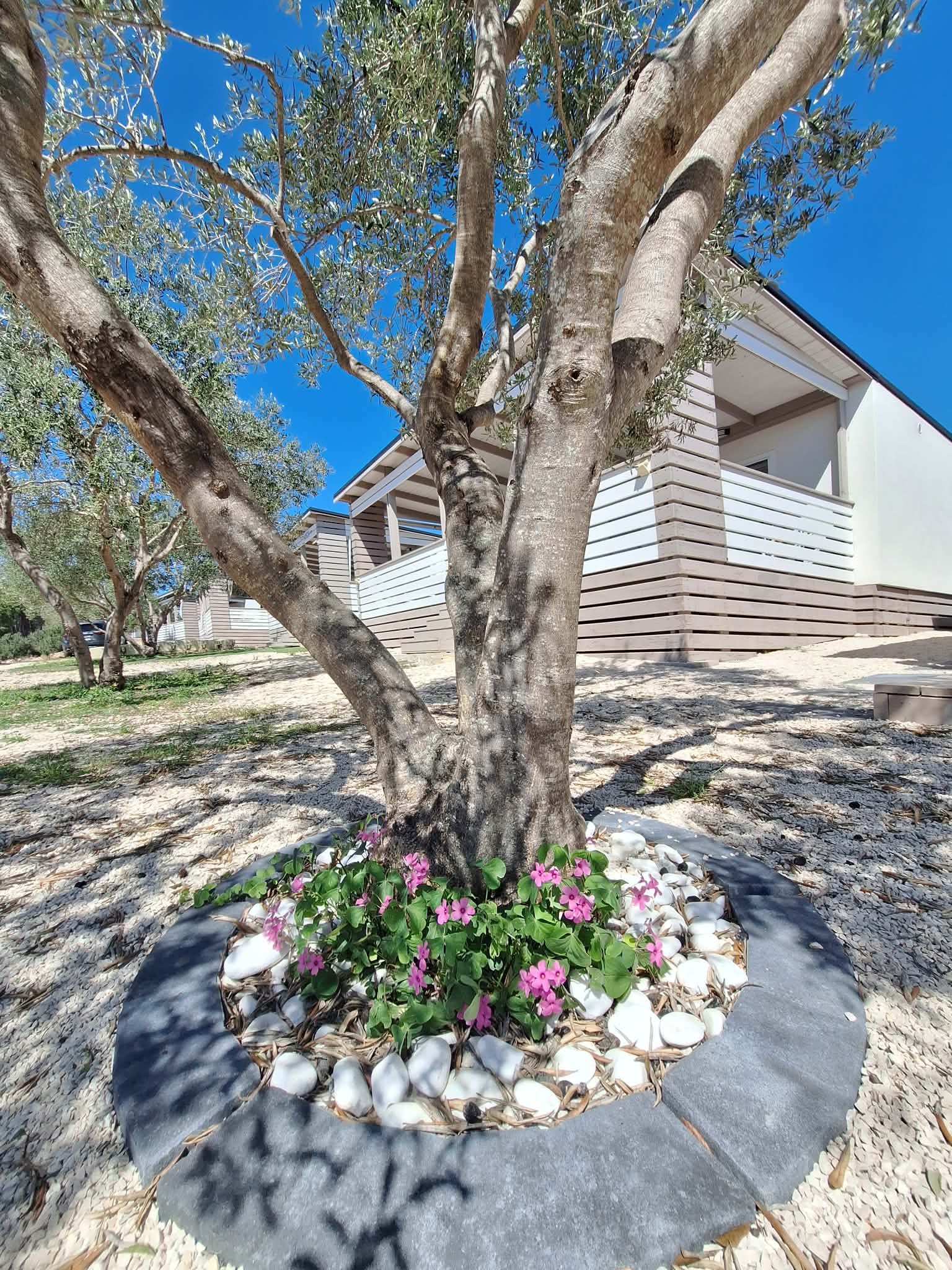 melody house